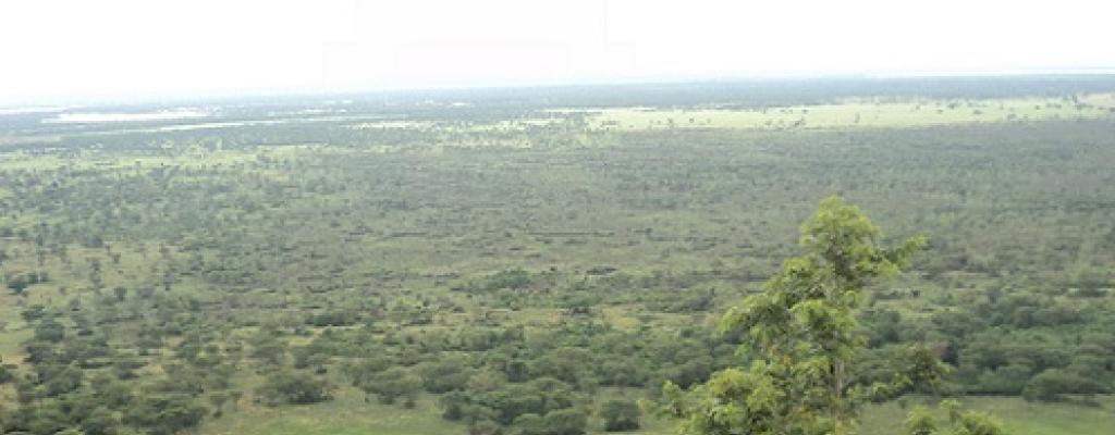 Queen Elizabeth National Park